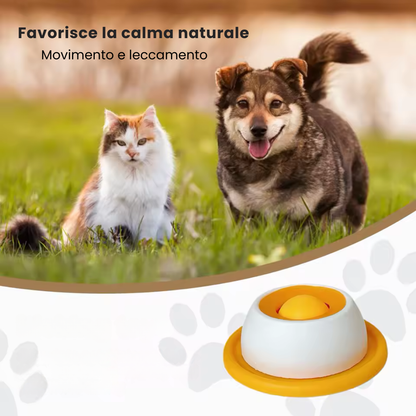 MiaoCalma™ — Bowl Interattivo Calmante