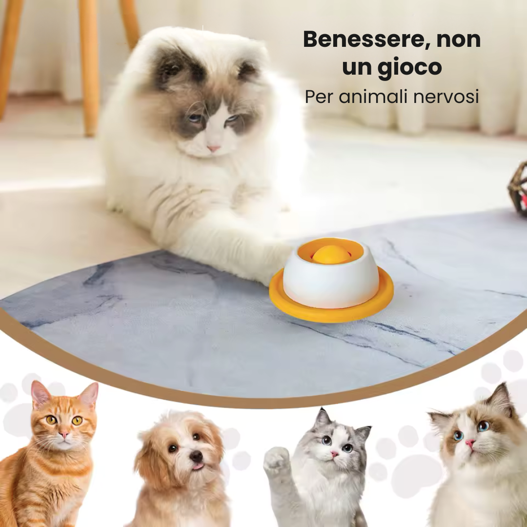 MiaoCalma™ — Bowl Interattivo Calmante